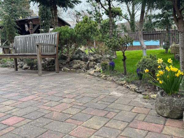 WhatsApp Image 2026-03-31 at 10.23.04 (1)